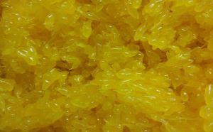 Mandarin Orange Sacs pentru fructe Jam